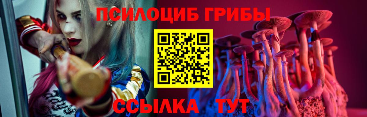 Карасук  Галлюциногенные грибы Magic Shrooms  Вход с VPN 